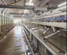 Milking Parlour - HUGE SPEC