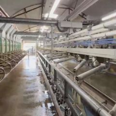 Milking Parlour - HUGE SPEC