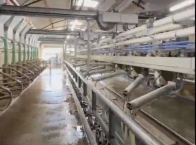 Milking Parlour - HUGE SPEC