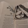 Frostheart Story Book By Jamie Littler Image 6