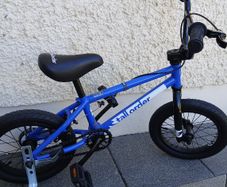 BMX Boys Bike