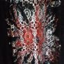 Sophie B dressy tunic top Image 2