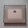 Pig picture in frame Image 2