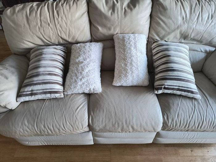 Cushions x 4