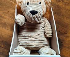Teddy