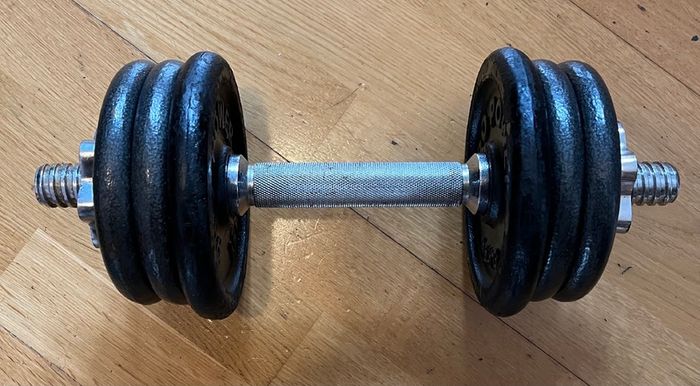 Single 10kg dumbbell