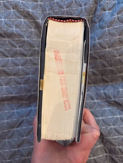 First Edition Nellie Bly Daredevil Reporter Feminist Book