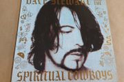 Dave Stewart &amp; The Spiritual Cowboys (eurythmics) - Self Titled Debut - Vinyl Record + Hundreds More