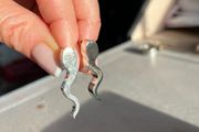 Silver earings