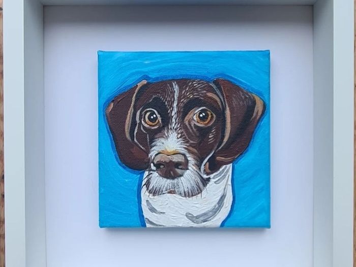 Pet Portraits