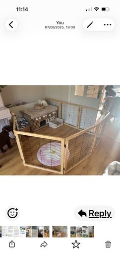 dog gate
