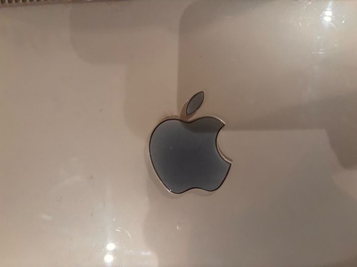 Apple Cinema Display 20 inch