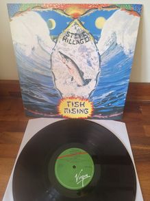 Steve Hillage - Fish Rising