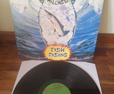 Steve Hillage - Fish Rising