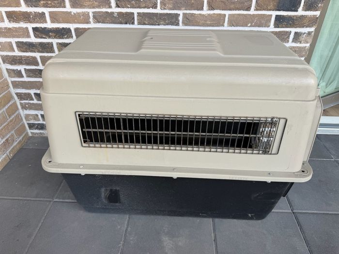 dog house / kennel