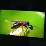 55"lg Smart Tv 4k Image 5