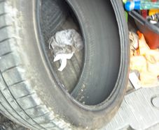 225/40/18 kapsen tyre x1