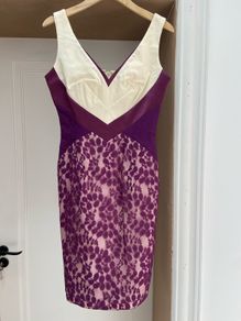 Hybrid Dress