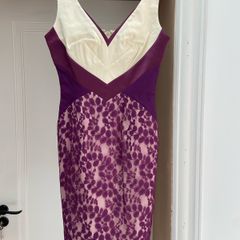 Hybrid Dress