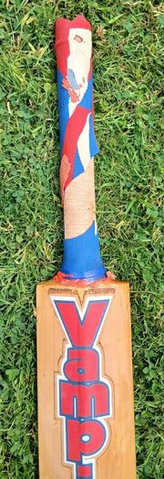 BAS Vampire Gold short handle cricket bat