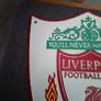 Liverpool Cast Metal hand painted shield Image 3