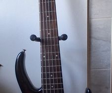 Peavey Fury 6 String Bass