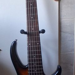 Peavey Fury 6 String Bass
