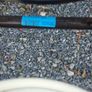 Vintage Derby Bedside Commode Chair Removable Toilet  Mobility Aid Image 4