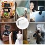 VIJIM Lighting Kit with VL-120 LED Video Light and MT-08 Extensible Mini Tripod, White Image 2