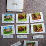 Montessori Matching Exercises Image 4