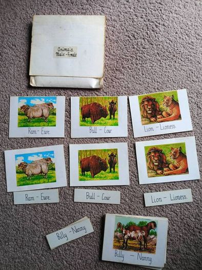 Montessori Matching Exercises