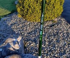 Fishing  rod