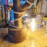 Handcrafted Livewood lamp Image 6