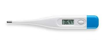 Digital LCD Thermometer