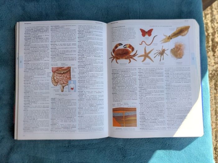 Illustrated Oxford Dictionary