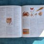 Illustrated Oxford Dictionary Image 3