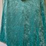 Jasmine costume Image 4