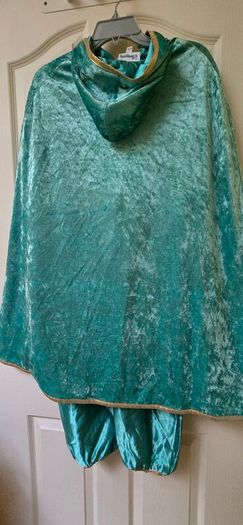 Jasmine costume