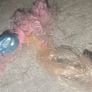 Vintage Rabbit Lady Lovely Locks Pixietails Blue Bunny Pink Hair Pixie Tail Clip Image 4
