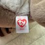 Ty Beanie Baby Bellies Petey the Raccoon approx. 6 Inch Plush Used Please see pictures Image 9
