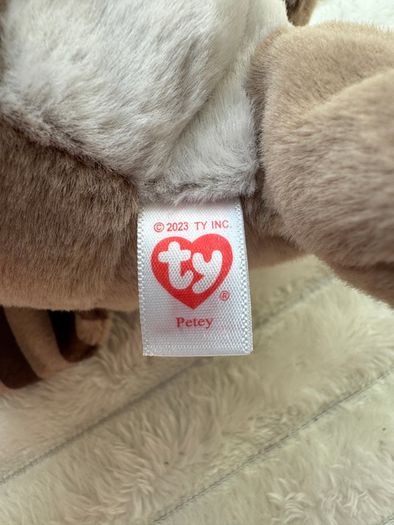 Ty Beanie Baby Bellies Petey the Raccoon approx. 6 Inch Plush Used Please see pictures