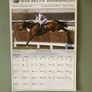 Horse racing Image 10