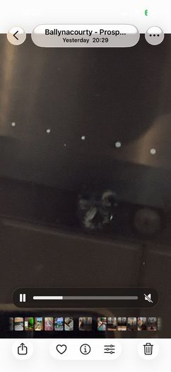 Neff 80cm N70 Flex Induction Hob