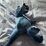 Build-A-Bear T-Rex Image 3