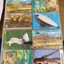Call Cards Album Image 2