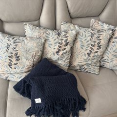 Home focus cushions and Throw