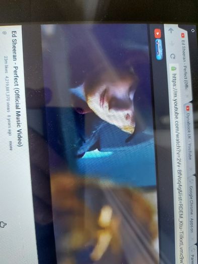 Toshiba 10.1inch Tablet, Model AT10-A, 16GB, great for internet, youtube, games, etc (Circular crack on screen)