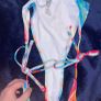 bikini BNWT Image 4