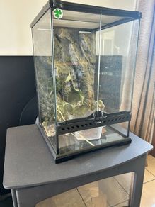 terrarium