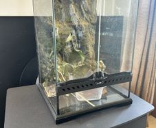 terrarium